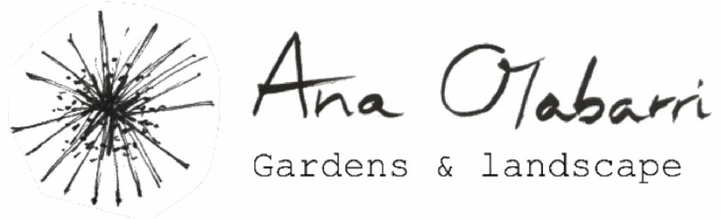 logotipo horizontal ana olabarri