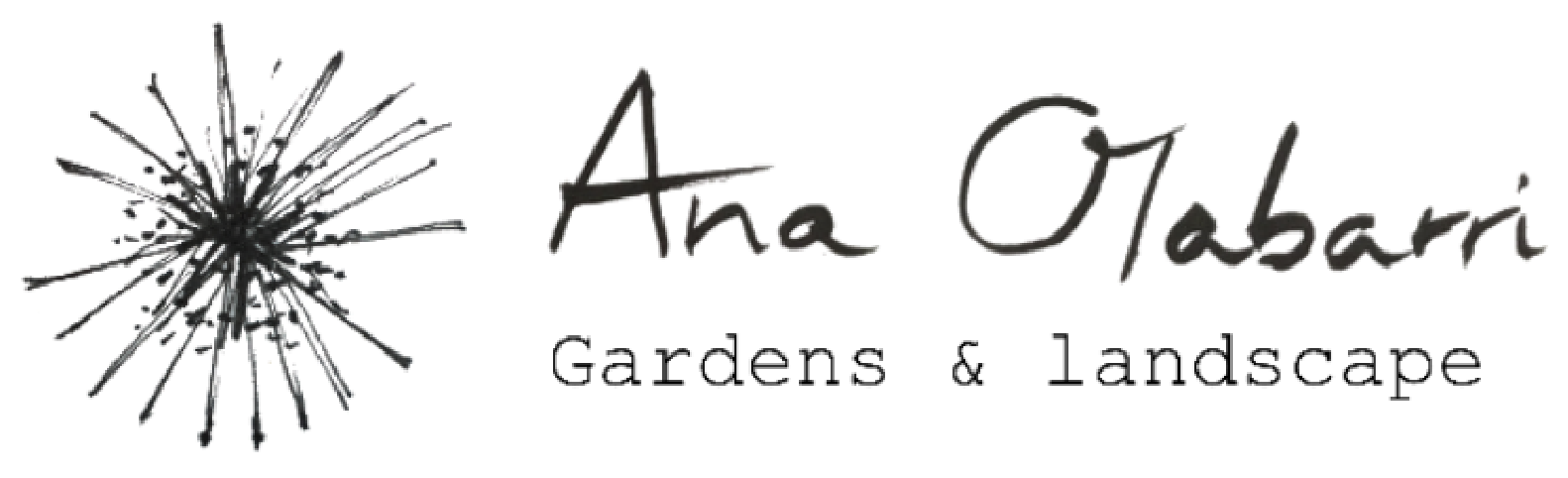 logotipo horizontal ana olabarri