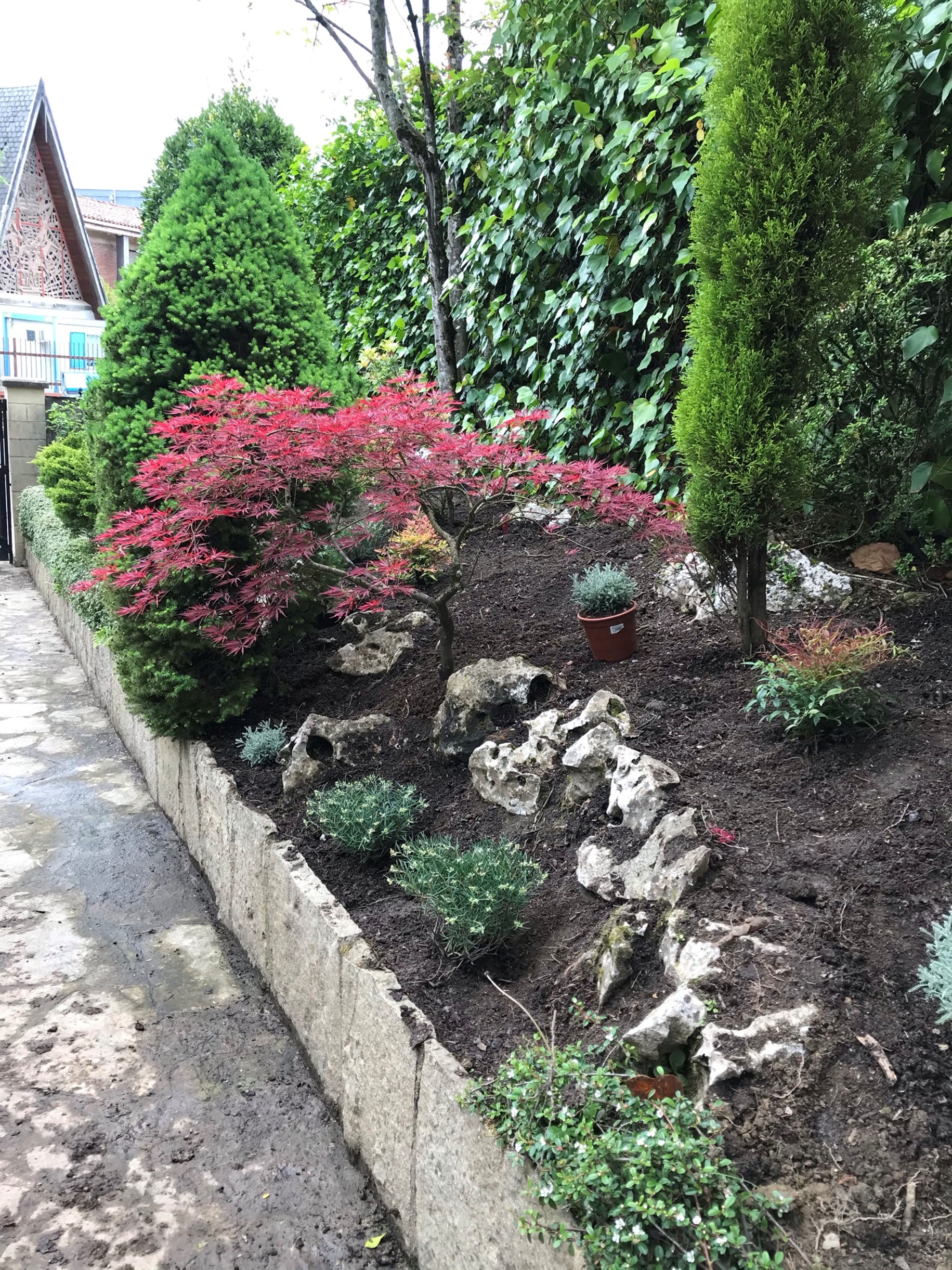 restauracion bancales durango despues