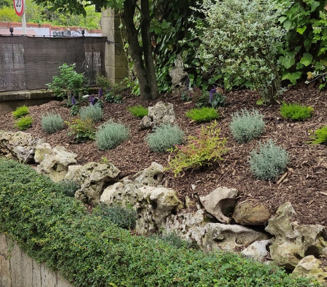 restauracion bancales durango antes