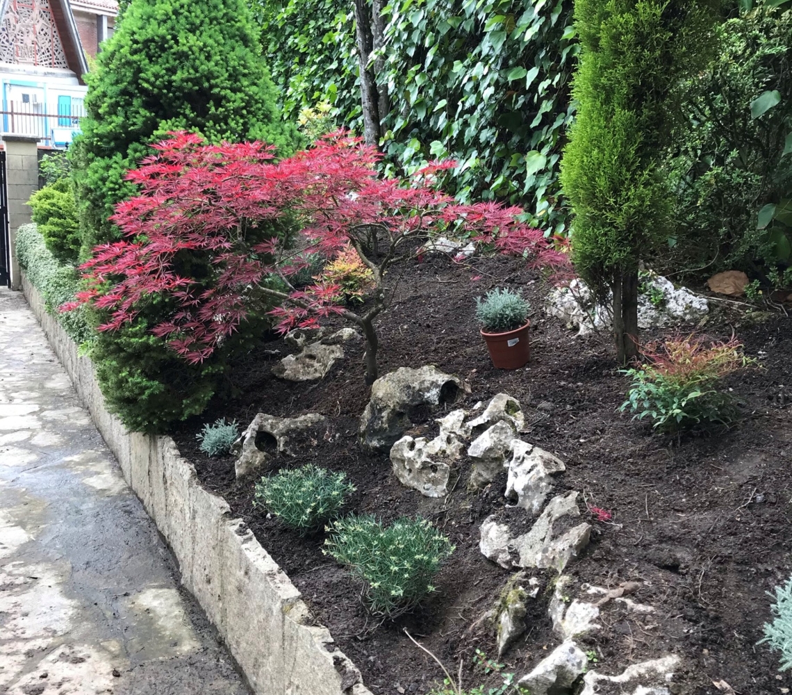 restauracion bancales durango despues